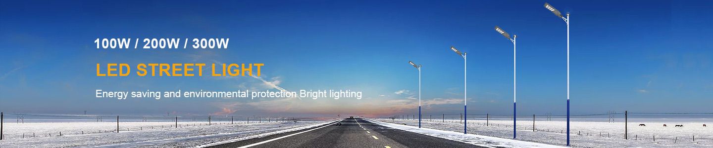 220V LED Street Light